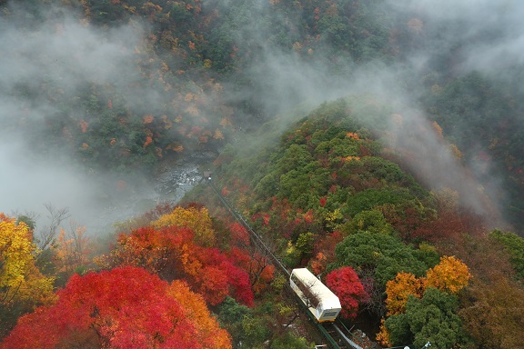 和の宿　ホテル祖谷温泉