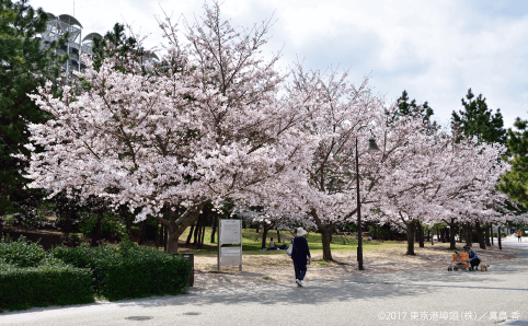 お台場海浜公園