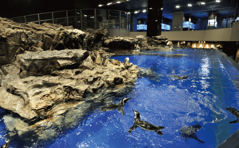 すみだ水族館